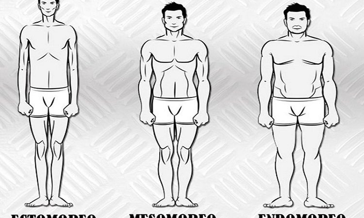 Tipos de cuerpo: ectomorfo, endomorfo y mesomorfo. ¿Sabes cuál es el tuyo?