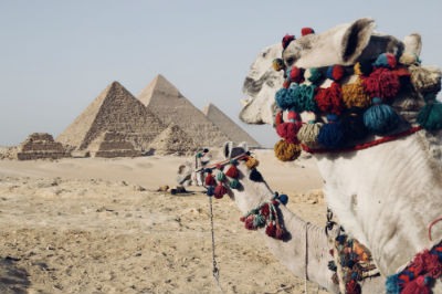 Vacaciones en Egipto