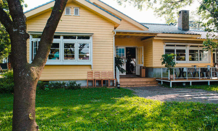 Protegiendo tu hogar y jardín con antipájaros y antipájaros de tejados