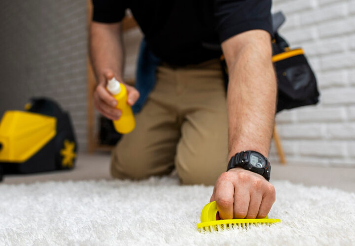La importancia de un servicio profesional de limpieza de alfombras en Madrid