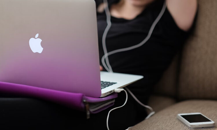 12 alternativas legales y gratis a Playdede