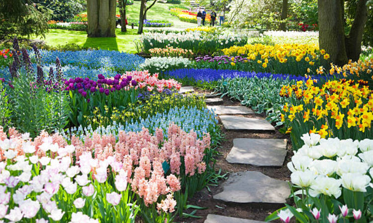 Sostenibilidad y diseño de jardines exteriores: una tendencia que define el futuro