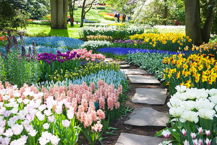 Sostenibilidad y diseño de jardines exteriores: una tendencia que define el futuro