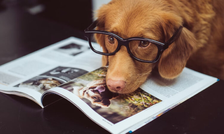 Lectura selectiva: el arte de leer con intención y criterio