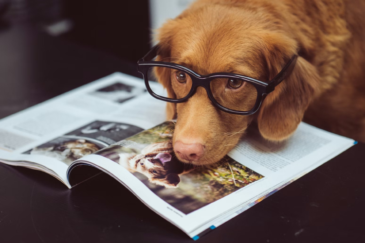 Lectura selectiva: el arte de leer con intención y criterio
