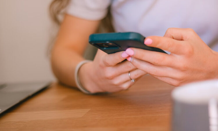 Imginn: qué es y cómo funciona